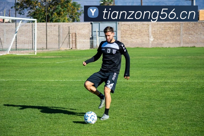 App Interface Preview