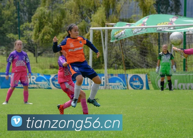 爱游戏ayx官方登录入口APP 封面图